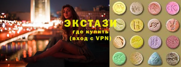 дживик Ельня