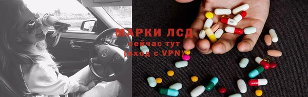 дживик Ельня