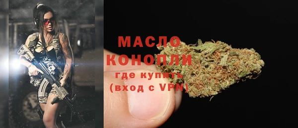 соль ск Елабуга