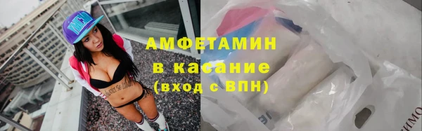 дживик Ельня