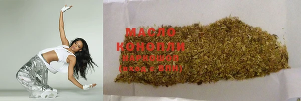 дживик Ельня