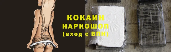 дживик Ельня