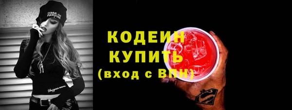 дживик Ельня