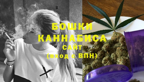 дживик Ельня