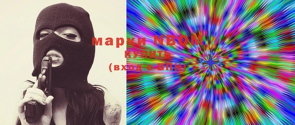 дживик Ельня