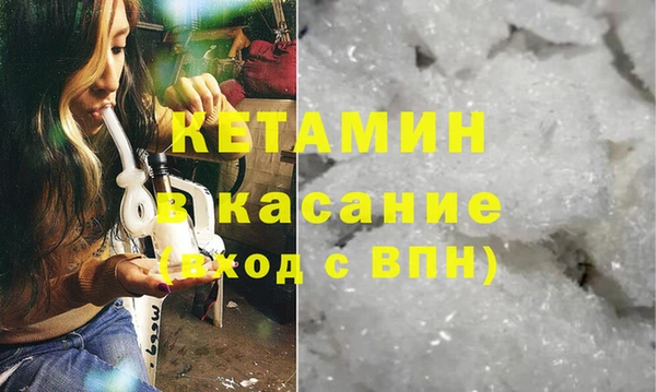дживик Ельня