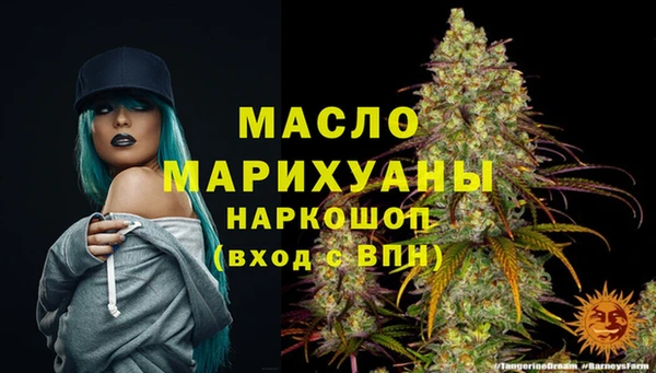 соль ск Елабуга