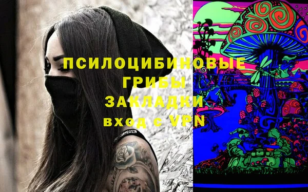 ECSTASY Елизово