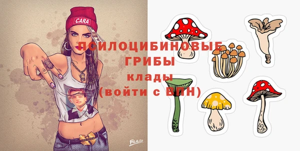 ECSTASY Елизово