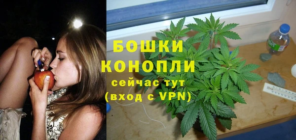 мет Дмитров