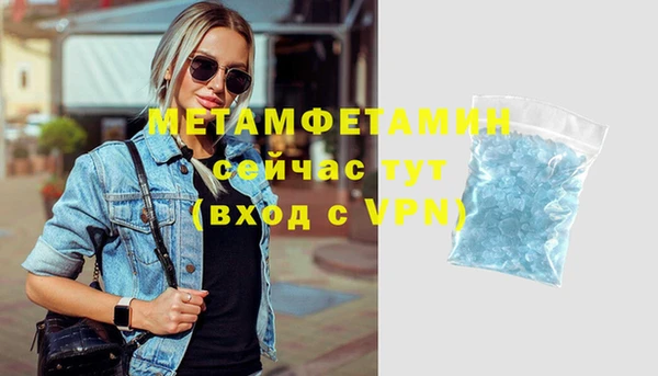дживик Ельня