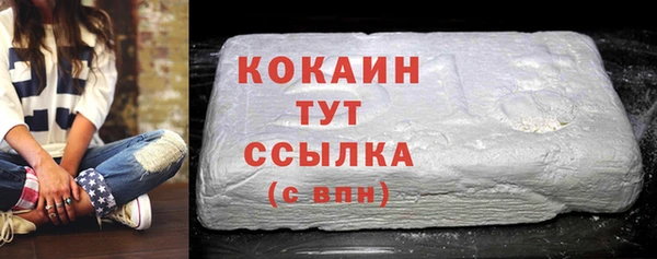 дживик Ельня