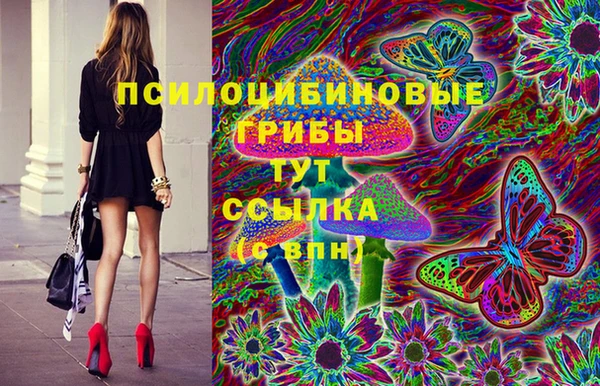 соль ск Елабуга