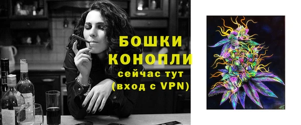 дживик Ельня